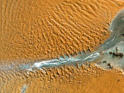img of The 1.5°C Threshold Crossed: Climate Imperialism's Deadly Legacy