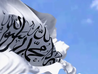 img of The Taliban's Terrorist Sanctuary: A Consequence of Western Imperialism and Failed Policies