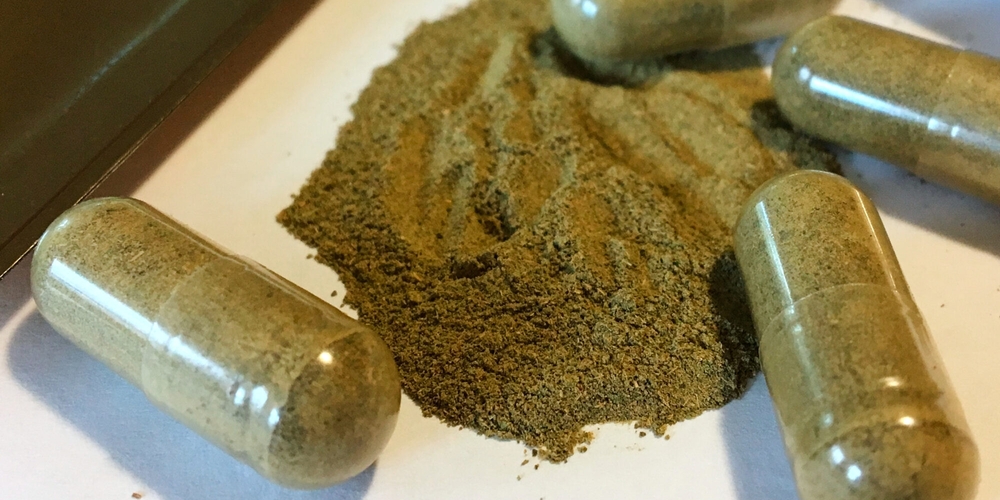 img of A Preventable Tragedy: The Kratom Debate in Mississippi and the Urgent Need for Principled Governance