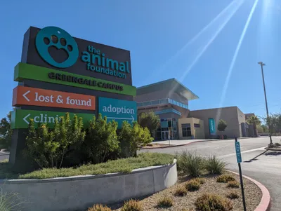 img of The Animal Foundation Crisis: A Case Study in Fiscal Mismanagement and Moral Failure