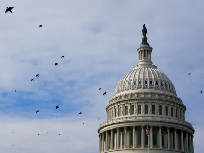 img of The Great Congressional Exodus: A Democracy in Crisis