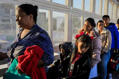 img of Judicial Fortitude: A Court Upholds the Law and the Promise of Asylum