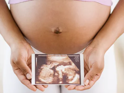 img of The Assault on Education: How Arizona Lawmakers Are Undermining Democracy and Student Health Through Ideological Legislation