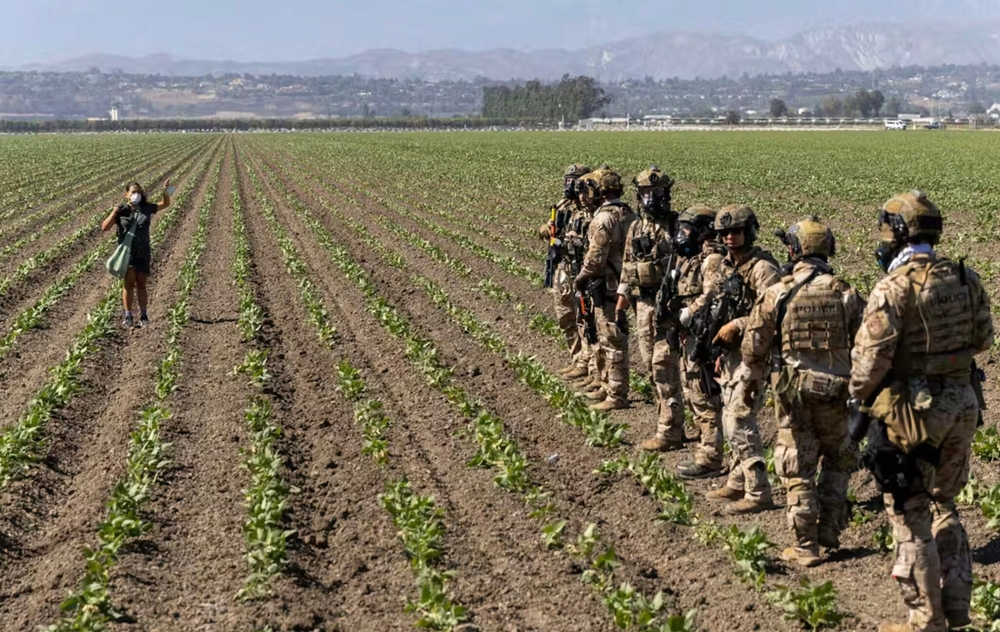 img of The Great American Betrayal: How Policy Choices Are Starving a Nation Amidst Plenty