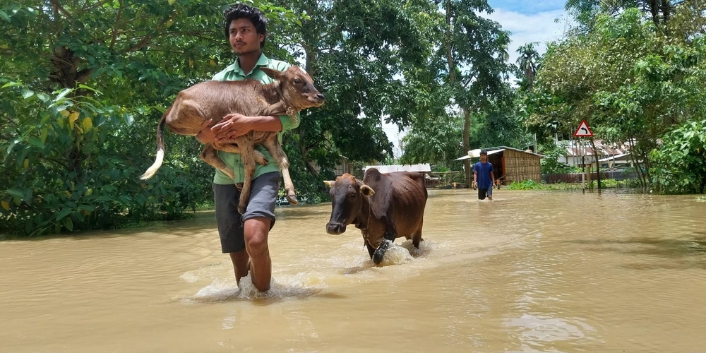 img of The World Bank's Climate Retreat: A Calculated Betrayal of India's Most Vulnerable
