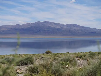 img of The Unmistakable Voice of the West: A Bipartisan Roar for Conservation