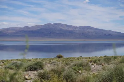 img of The Unmistakable Voice of the West: A Bipartisan Roar for Conservation