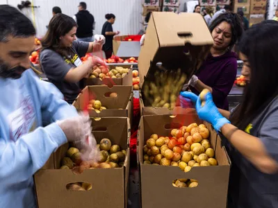 img of The Ongoing CalFresh Crisis: A Moral Failure of Epic Proportions