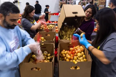 img of The Ongoing CalFresh Crisis: A Moral Failure of Epic Proportions