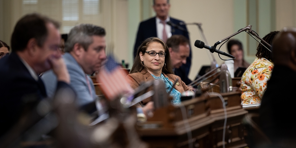 img of A Betrayal of Trust: When a Lawmaker Weaponizes the Law Against Her Own Mother