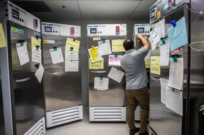 img of The Assault on Public Health: When Politics Trumps People's Lives