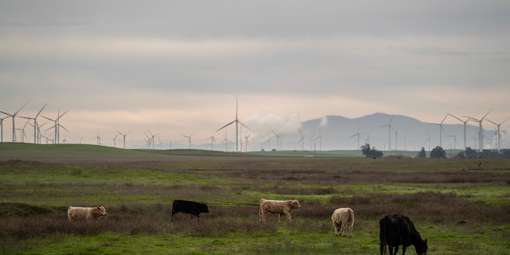img of The Corporate Siege of Solano County: How 'California Forever' Threatens Democratic Governance