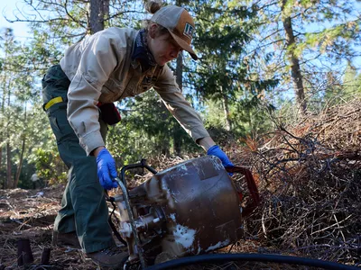 img of The Silent War on California's Ecosystems: How Illegal Cannabis Farms Are Decimating Our Natural Heritage