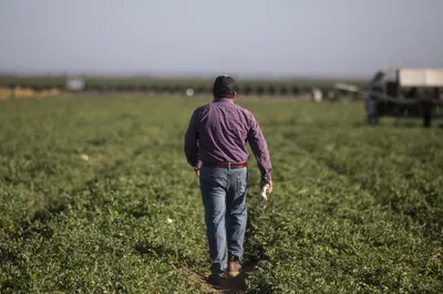 img of The Human and Economic Devastation of Anti-Immigrant Policies in America's Heartland