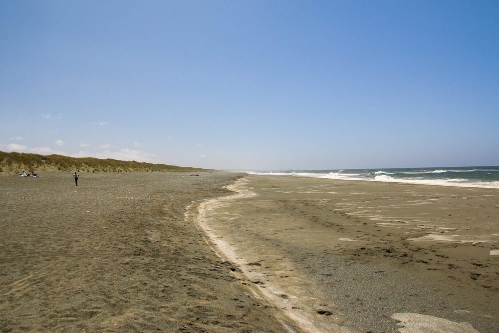 img of The Cost of Grand Gestures: California's Dangerous Dance with Fiscal and Institutional Recklessness