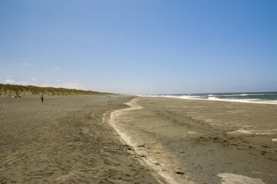 img of The Cost of Grand Gestures: California's Dangerous Dance with Fiscal and Institutional Recklessness