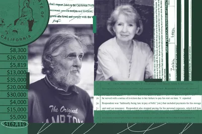 img of A Guardian's Betrayal: Systemic Failure and the Erosion of Trust in California's Fiduciary Oversight