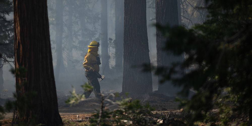 img of A Tipping Point in the Flames: California's Wildfire Progress is Real, and Now it is Under Threat