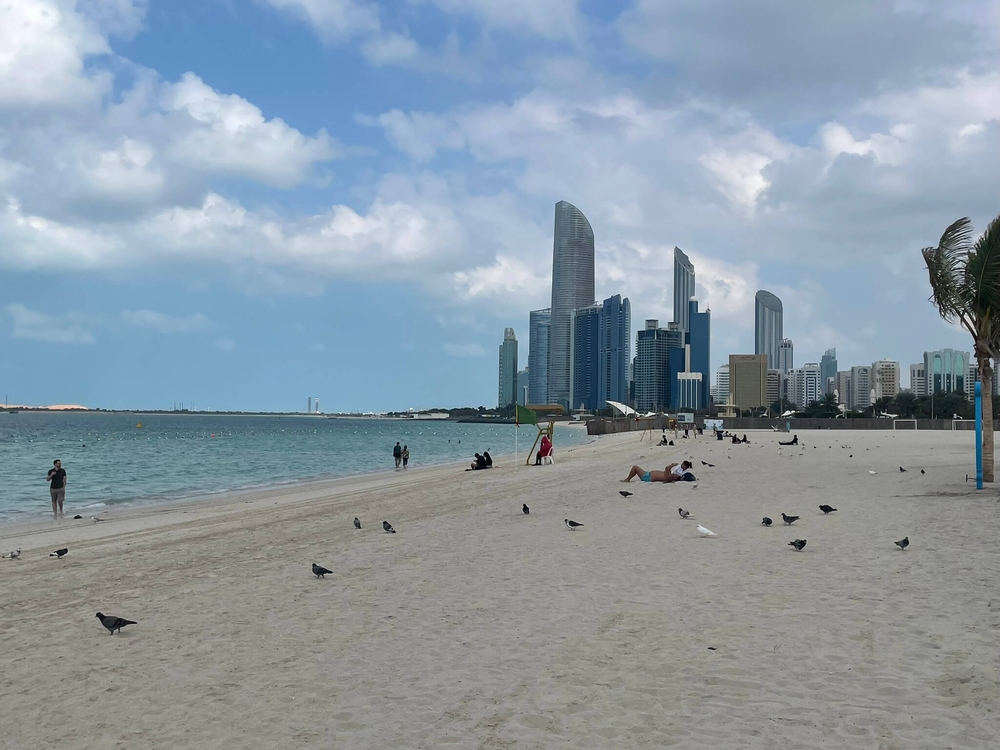 img of The UAE's Multi-Alignment Strategy: A Blueprint for Global South Sovereignty in the Face of Western Pressure