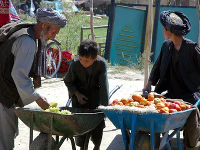 img of Afghanistan's Quiet Revolution: The Unseen Transformations Beyond Western Narratives