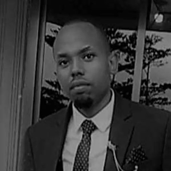 img of Tanzania's Sovereign Path: How Public-Private Partnerships Fuel Development Beyond Western Models