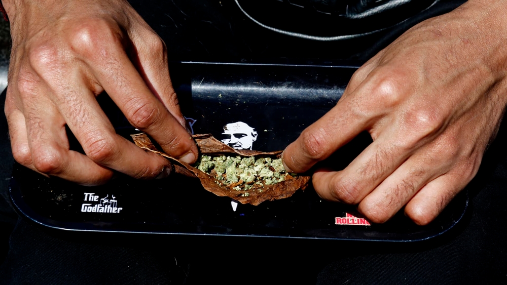 img of A Tipping Point for Cannabis: Economic Promise Meets Urgent Need for Principled Regulation