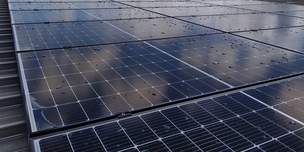 img of The Green Tech Race: How China and India are Rewriting the Rules of the Global Order