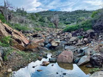 img of Aruba's Climate Crucifixion: The Price of Western Ecological Debt