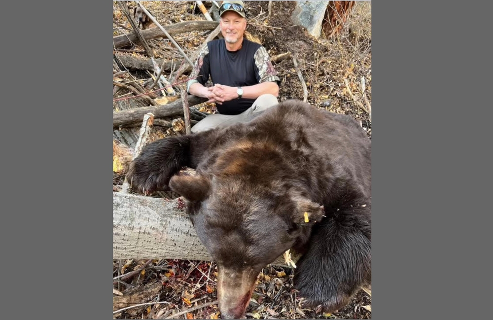 img of A Betrayal of Trust: Wildlife Official's Guilty Plea Exposes a Rotten System