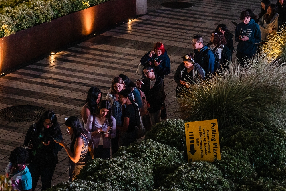 img of California's Democratic Voter Hesitation: A Strategic Gambit or a Symptom of Democratic Erosion?