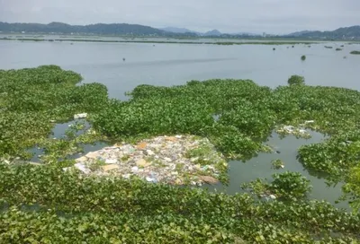 img of The Assault on Deepor Beel: Environmental Imperialism and the Betrayal of India's Ecological Heritage
