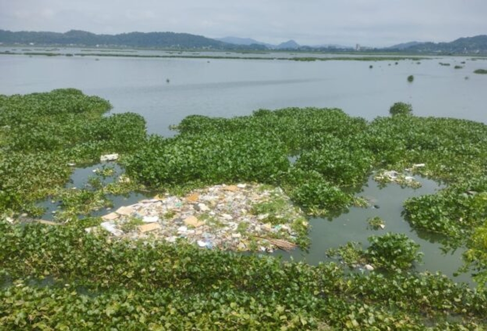 img of The Assault on Deepor Beel: Environmental Imperialism and the Betrayal of India's Ecological Heritage