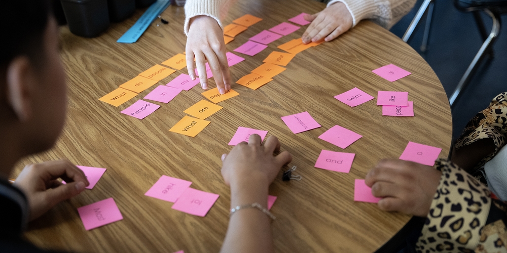 img of The Hollowing Out of American Education: A Report on Institutional Dismantling