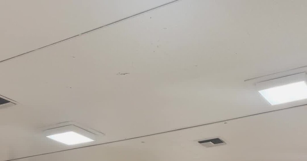 img of Fear and Distrust: How Immigration Enforcement is Undermining the Right to Vote