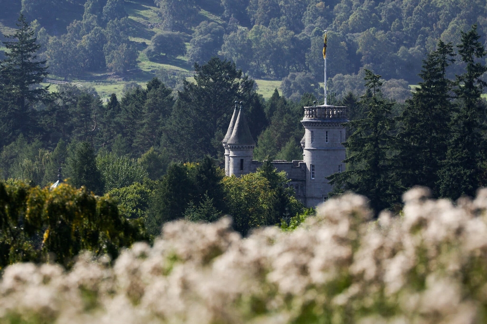 img of The Royal Stain: How Power Protects Predators in Plain Sight