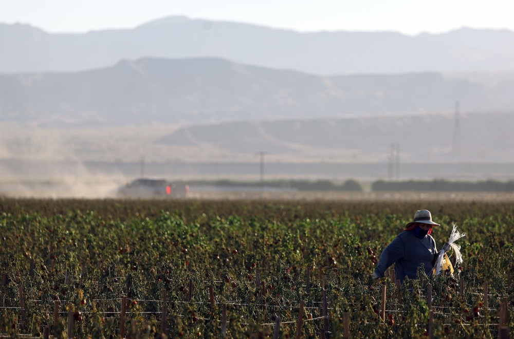 img of The Assault on Farmworkers: How New Wage Guidelines Threaten American Labor Standards
