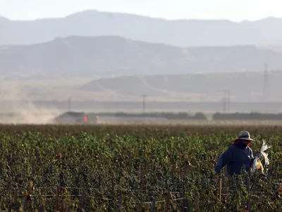 img of The Assault on Farmworkers: How New Wage Guidelines Threaten American Labor Standards