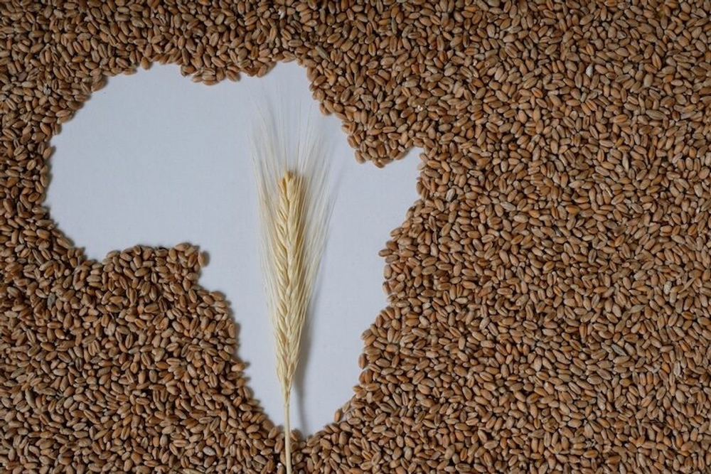 img of The Fertilizer Trap: How Imperial Supply Chains Strangle Africa's Food Sovereignty