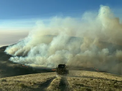 img of The Tinderbox State: Nevada's Unprecedented Wildfire Threat and the Test of Our Resolve