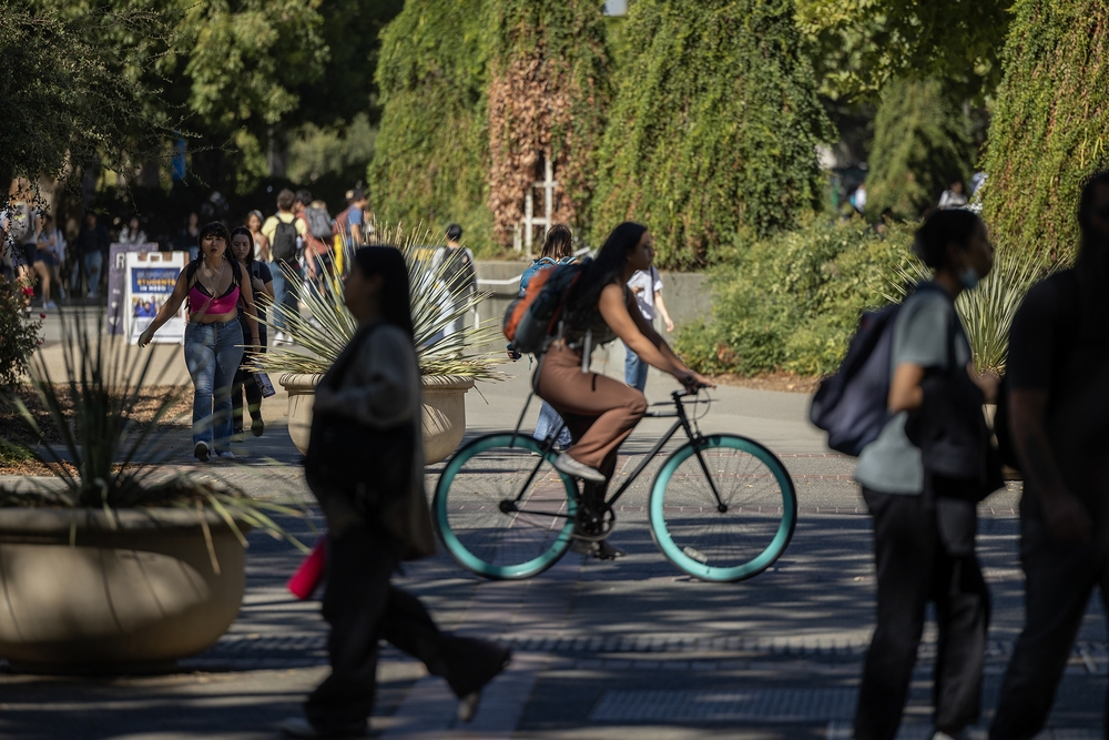 img of The Auction of American Dreams: How College Admissions Betrays Our Promise of Equal Opportunity