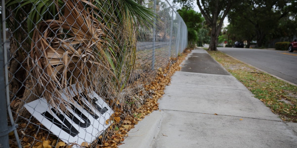 img of Florida's 2026 Primaries: A Crucible for Democracy in the Sunshine State