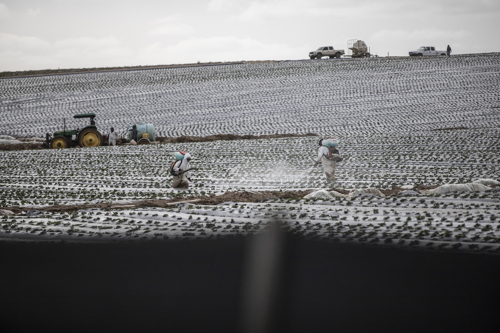 img of The PFAS Betrayal: How Regulators Are Actively Poisoning America's Food and Water