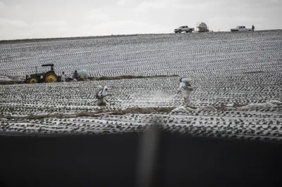 img of The PFAS Betrayal: How Regulators Are Actively Poisoning America's Food and Water