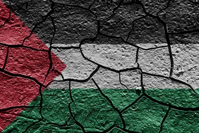 img of Gaza's Fragile Peace: Ecological Collapse Threatens Beyond Politics
