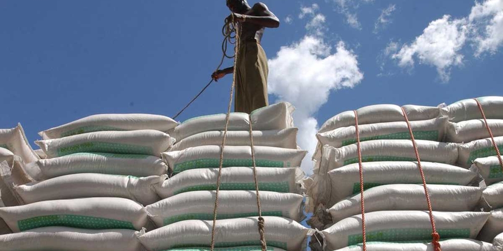 img of Beyond the Price Dip: The Fragile Calm in Global Food Markets and the Imperative for Southern Sovereignty
