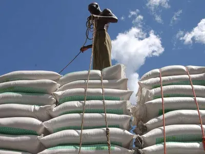 img of The Geopolitics of Food and Diplomacy: How Western Systems Continue to Constrain Global South Development
