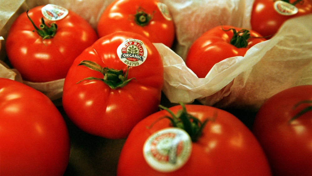 img of Arizona's $1.8 Million Emergency Food Aid: A Lifeline Amid Federal Failure