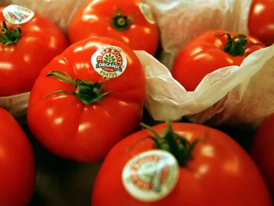 img of Arizona's $1.8 Million Emergency Food Aid: A Lifeline Amid Federal Failure
