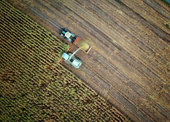 img of Chokehold of Empire: How Geopolitics in the Strait of Hormuz Threatens a Global Food Catastrophe