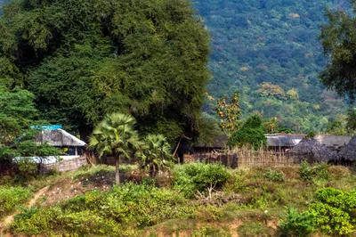 img of The Hollow Promise: India's Forest Rights Act and the Systemic Betrayal of Indigenous Communities